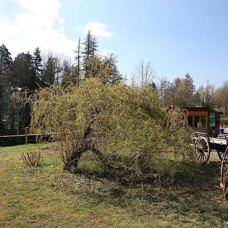 Le Veymont Villa Saint-Martin-en-Vercors Kültér fotó