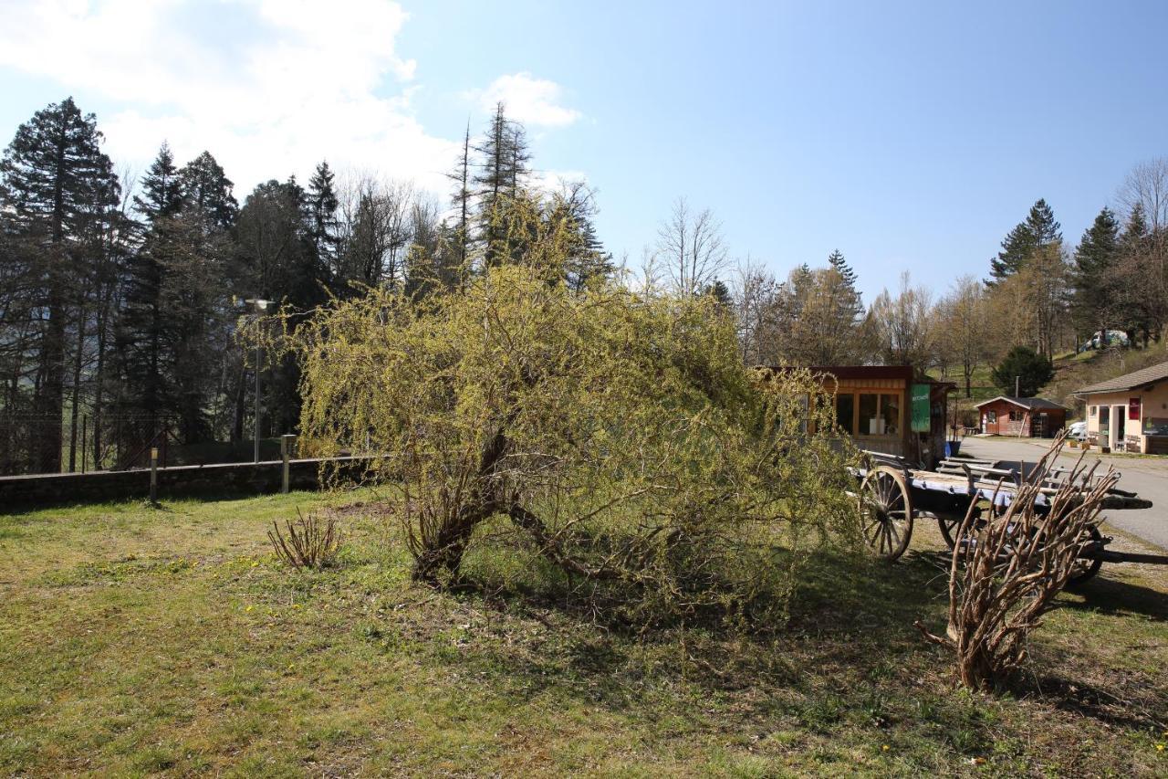 Le Veymont Villa Saint-Martin-en-Vercors Kültér fotó